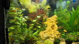 aquarium-von-peter-ruediger-becken-11306_