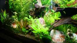 aquarium-von-lod-becken-11336_