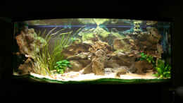 aquarium-von-mawin-becken-1145_Das Hauptbecken, 420l