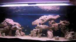 aquarium-von-karsten-garn-becken-115_