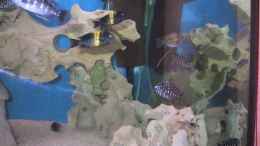 aquarium-von-karsten-garn-becken-115_