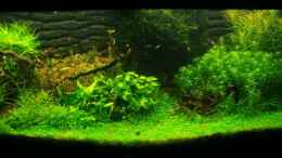 aquarium-von-dani-b-becken-11671_