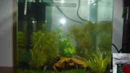 aquarium-von-herr11-becken-11712_