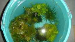 aquarium-von-herr11-becken-11712_