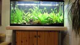 aquarium-von-olaf-amend-becken-11723_