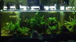 aquarium-von-enrico-bochmann-becken-11822_