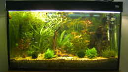 aquarium-von-marcels-becken-11830_Komplettansicht