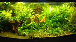 aquarium-von-supervisor03-becken-11860_