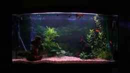 aquarium-von-legolas-84-becken-11877_