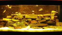 aquarium-von-nici-becken-11922_