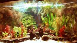 aquarium-von-wasserspass-becken-11950_07/10 neuer Sand