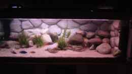 aquarium-von-sandro-wiery-becken-11992_neues Hauptbild