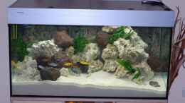 aquarium-von-swen-rengers-becken-11994_