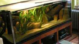 aquarium-von-daniel-zingler-becken-1209_