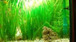 aquarium-von-floyd-becken-12117_