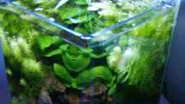 aquarium-von-gueni-becken-12183_