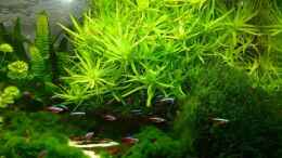 aquarium-von-martin-pargmann-becken-12427_