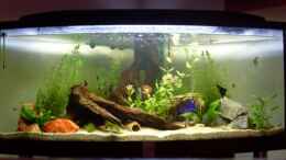 aquarium-von-micdundee-becken-12720_