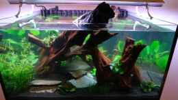 aquarium-von-paul-kerschbaumer-becken-12899_