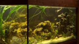 aquarium-von-monika-thiele-becken-1337_Seitenansicht