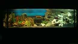 aquarium-von-fabian-s--becken-13495_