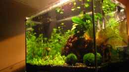 aquarium-von-klaus-bachmann-25l-nano_Becken von Rechts