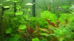 aquarium-von-barabas-becken-14481_