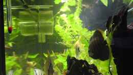 aquarium-von-chris-krabbe-becken-15081_