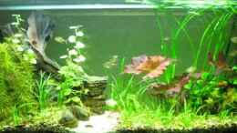 aquarium-von-florian-freyer-becken-15322_