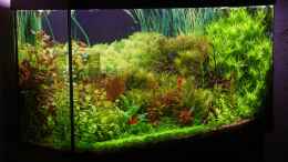 aquarium-von-alexander-schilke-becken-1627_10