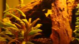 aquarium-von-javi-take-a-minute_