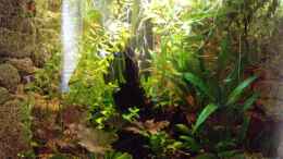 aquarium-von-manala-becken-16752_10.07.2010