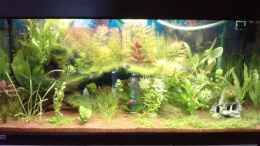 aquarium-von-mike-schl--eheim-mp-scubaline120_