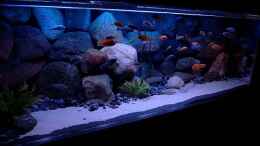 aquarium-von-helgo-jacob-becken-1920_Becken bis 02. 2009