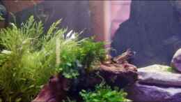 aquarium-von-stony-becken-112-l-nur-noch-als-beispiel_