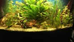 aquarium-von-flo-fluval-vicenza-260_