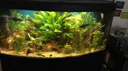 aquarium-von-flo-fluval-vicenza-260_