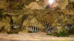 aquarium-von-christian-friedrich-becken-2092_