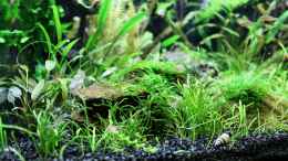 aquarium-von-die-perle----becken-21656_