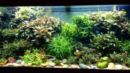 aquarium-von-volkmar1-rio-world_BucenWorld