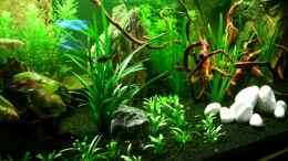 aquarium-von-stefan-saal-becken-2173_