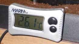 Foto mit Digitalthermometer