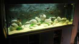 aquarium-von-marcus-mertens-becken-2178_