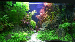 aquarium-von-mike1963-crystal-rock_Crystal Rock