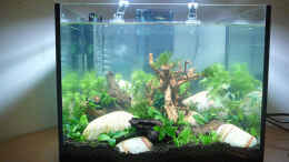 aquarium-von-mike1963-lake-rainbow_Lake Rainbow Aufbau Bild 13