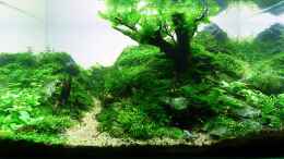 aquarium-von--serok--einst-war-das-chaos_Stand 22.01.12