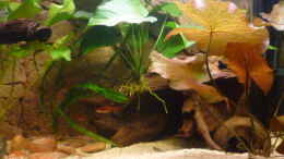 aquarium-von-marc-wollenberg-becken-22012_