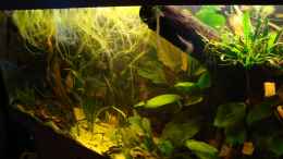 aquarium-von-puelschi-87-becken-22157_