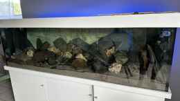 aquarium-von-wolfgang-ihlo-becken-22553_Malawi Tank