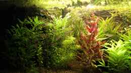 aquarium-von-hot-becken-22655_